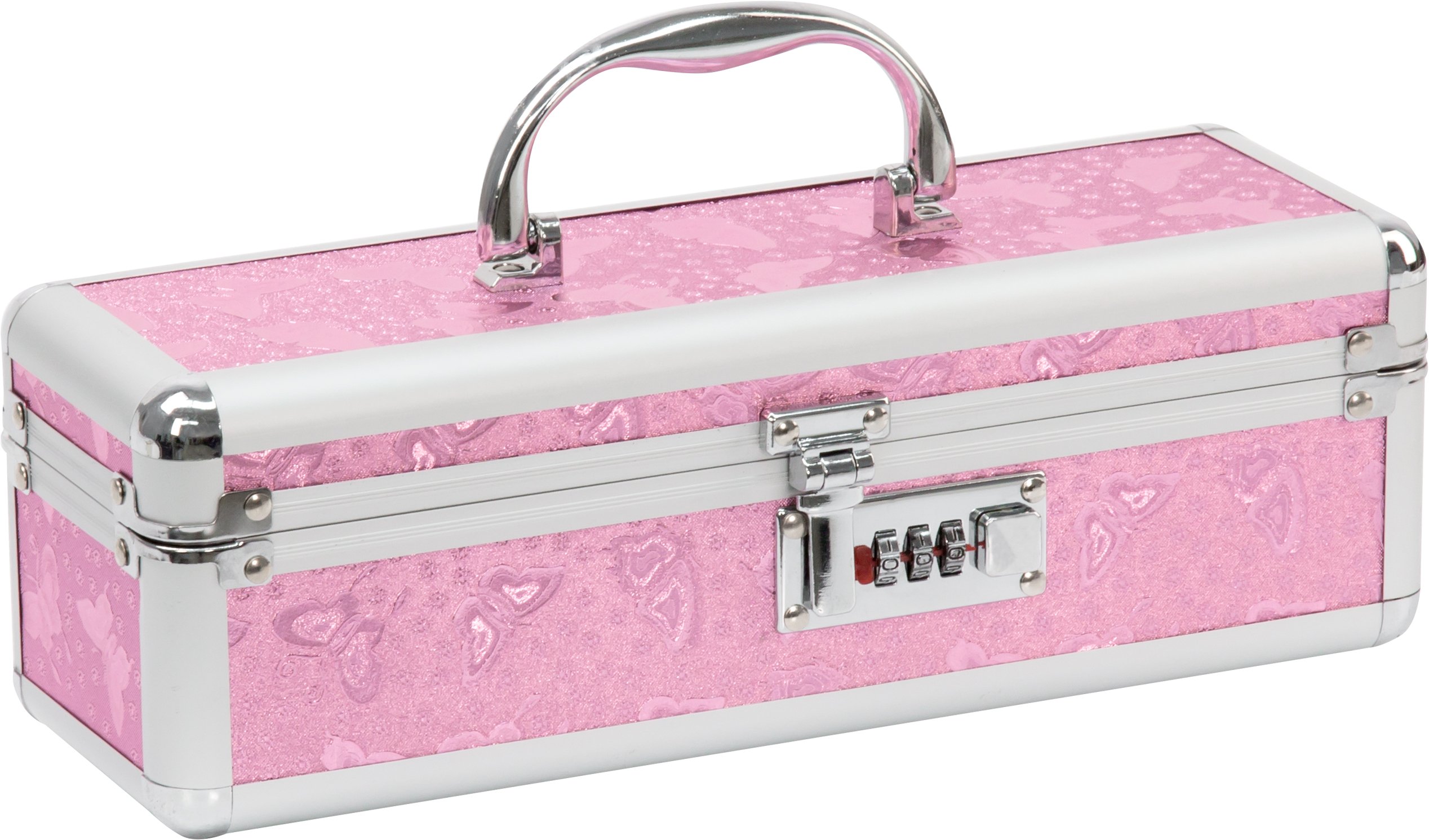 【本日限定特価】ピンクコア　72個　公式コアケース&ライフカウンターセット Lockable Vibrator Case (Pink) : Amazon.ca: Health & Personal Care